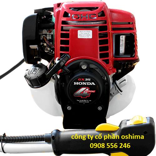máy cắt cỏ xăng 4 thì oshima tw35 (thái lan)